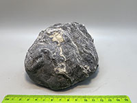 a blueisgray rock with light-colored crenulated striation.